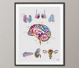 Endocrine Glands Art Watercolor Print Human Anatomy Medical Art Science Office Wall Art Endocrinology Art Endocrinologist Doctor Clinic-1326 - CocoMilla
