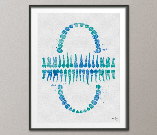 Tooth Chart Fresh Watercolor Print Tooth Anatomical Dental Clinic Decor Dentistry Student Medical Art Dentist Office Gift Doctor Art-1263 - CocoMilla