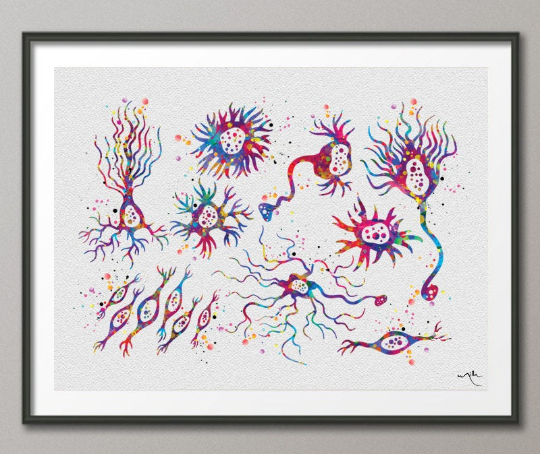 Neuron Types Watercolor Print Medical Art Medical Cabinet Purkinje Cell Neurology Brain anatomy Neuroscience Neurologist Office Decor-174 - CocoMilla