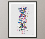DNA Molecule Z-DNA Watercolor Print Medical Wall Art Nurse Gift Medical Art Science Art Clinic Gift Doctor Genetic Laboratory Biology-1055 - CocoMilla