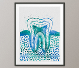 Molar Tooth Fresh Watercolor Print Tooth Anatomical Medical Art Dental Clinic Decor Dentistry Student Science Graduaiton Dentist Gift-1264 - CocoMilla