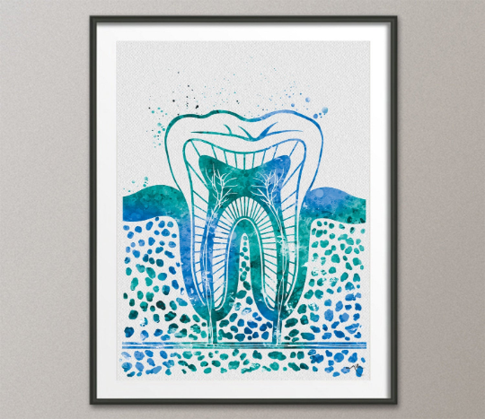 Molar Tooth Fresh Watercolor Print Tooth Anatomical Medical Art Dental Clinic Decor Dentistry Student Science Graduaiton Dentist Gift-1264 - CocoMilla