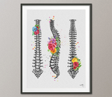 Spine Floral Watercolor Print Human Spine Anatomy Flowers Medical Art Medicine Neurology Neurosurgeon Neurologist Doctor Clinic Office-1358 - CocoMilla