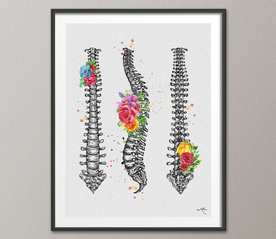 Spine Floral Watercolor Print Human Spine Anatomy Flowers Medical Art Medicine Neurology Neurosurgeon Neurologist Doctor Clinic Office-1358 - CocoMilla