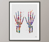 Hands Bones Watercolor Print Skeletal Hands Bones Medical Art Science Art Orthopedic Art Nurse Art Medicine Skeleton Print Clinic Decor-538 - CocoMilla