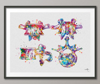 Vertebral Bone Watercolor Print Anatomy Art Vertebral Column Cervical Vertebrae Medical Art Office Decor Skeletal System Orthopedic-202 - CocoMilla