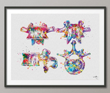 Vertebral Bone Watercolor Print Anatomy Art Vertebral Column Cervical Vertebrae Medical Art Office Decor Skeletal System Orthopedic-202 - CocoMilla