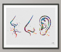 Ear Nose Throat Doctor Art Watercolor Print Clinic Decor Doctor Medical Art Medicine Art Medical Office Nursing ENT Surgery Gift ENT Art-652 - CocoMilla