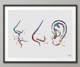 Ear Nose Throat Doctor Art Watercolor Print Clinic Decor Doctor Medical Art Medicine Art Medical Office Nursing ENT Surgery Gift ENT Art-652 - CocoMilla