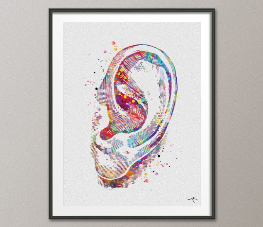 Ear Watercolor Print Human Ear Audiologist Gift Audiology Poster Science Art Ear Diagram Ear Poster Anatomical Office Decor Medical Art-1202 - CocoMilla