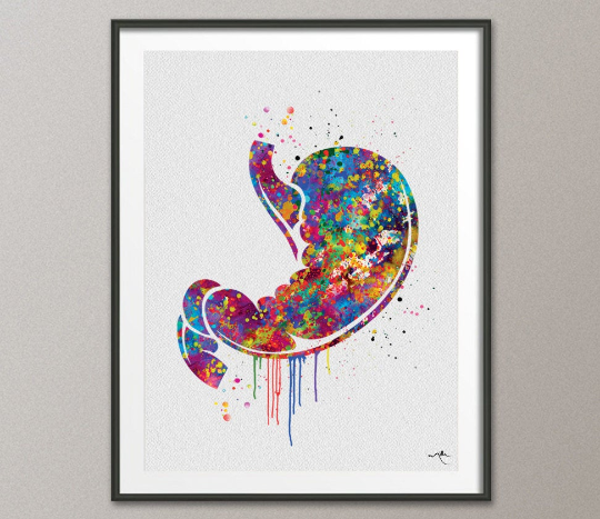 Stomach Watercolor Print Human Organs Gastrointestinal Clinic Decor stomach cancer Art Graduaiton Gift Medical Art Doctor Art Gift-1031 - CocoMilla