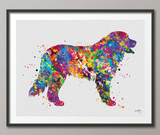 Bernese Mountain Dog Watercolor Print Personelized Memorial Gift Pet Berner Dog Doglover Gift Pet Animal Mountain Dog Poster Dog Art-1594 - CocoMilla