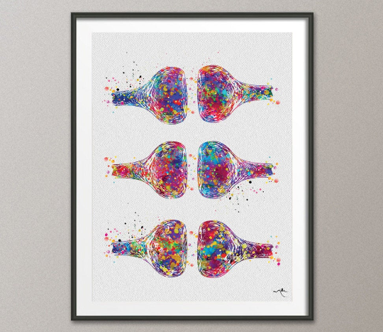 Synapses Watercolor Print Science Neurology Synapse Receptor Neural Nerve Cell Medical Art Brain Neurotransmitters Clinic Decor Gift-1097 - CocoMilla
