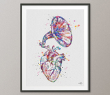 Gramaphone Heart Anatomy Watercolor Print Cardiology Decor Medical Art Print Science Art Record Player Geek Nerd Doctor Wall Hanging-981 - CocoMilla