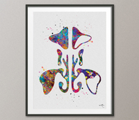 Paranasal Sinuses Watercolor Print ENT Doctor Sinusitis Clinic Medical Art Office Ear Nose Throat Surgeon Gift ENT Office Surgery-1493 - CocoMilla