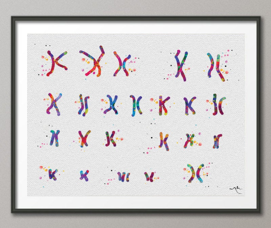 Female Chromosome Down Syndrome Watercolor Print Karyotype 21st Chromosome Medical Art Wall Art Nurse Gift Laboratory Science Genetic-384 - CocoMilla