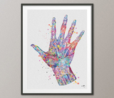 Hand Muscles Watercolor Print Skeletal Hand Bones Medical Art Anatomical Art Orthopedic Hand Surgery Anatomy Medical Office Print Clinic-418 - CocoMilla