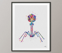 Microbiology Set of 3 Watercolor Print Microbiologist Bacteriophage Virus Microscope Student Student Graduation Laboratory Back to School-78 - CocoMilla