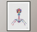 Microbiology Set of 3 Watercolor Print Microbiologist Bacteriophage Virus Microscope Student Student Graduation Laboratory Back to School-78 - CocoMilla