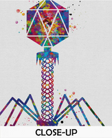 Microbiology Set of 3 Watercolor Print Microbiologist Bacteriophage Virus Microscope Student Student Graduation Laboratory Back to School-78 - CocoMilla