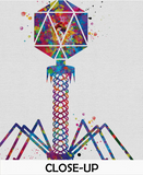 Microbiology Set of 3 Watercolor Print Microbiologist Bacteriophage Virus Microscope Student Student Graduation Laboratory Back to School-78 - CocoMilla