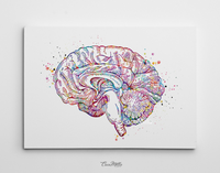 Brain Cross Section Anatomy Watercolor Print Medical Art Science Art Anatomy Neurology Human Brain Nurse Science Poster Psychological-1137 - CocoMilla