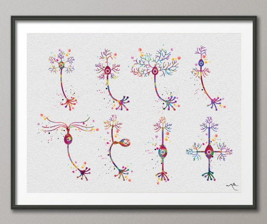 Neurons Art Watercolor Print Motor Pyramidal Purkinje Neuron Cell Neurology Medical Art Brain Anatomy Neuroscience Neurologist Cabinet-183 - CocoMilla