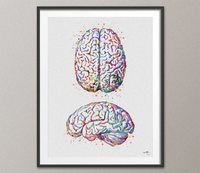 Brain Anatomy Human Brain Watercolor Print Medical Science Art Anatomical Art Neurology Doctor Gift Nurse Science Print Psychological-974 - CocoMilla