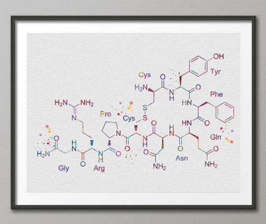 Vasopressin Molecular Structure Watercolor Print Medical Art Antidiuretic ADH Hormone Wall Art Nerd Science Chemistry Laboratary Decor-1426 - CocoMilla