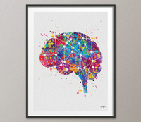 Brain Anatomy Geometric Watercolor Print Medical Art Science Art Wall Decor Wall Art Neurology Doctor Gift Science Poster Wall Hanging-1086 - CocoMilla