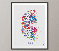 DNA molecule a-dna, b-dna, z-dna Watercolor Print Set Medical Wall Art Medical Art Science Art Genetic Laboratory Medical Student Gift-1056 - CocoMilla