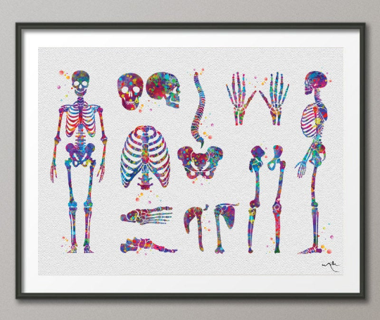 Skeletal System Watercolor Print Human Body Anatomy Art Medical Art Medicine Skull Art Wall Hanging Graduation Gift Clinic Decor Gift-1025 - CocoMilla