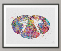 Cervical Spinal Cord Watercolor Print Anatomy Art Medical Art Neurology Neurosurgeon Art Neurologist Wall Hanging Doctor Clinic Decor-1231 - CocoMilla