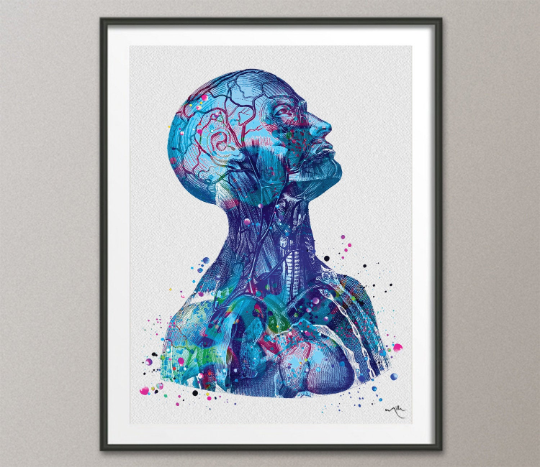 Anatomical Torso Blue Watercolor Print Cardiology Decor Medical Art Print Human Anatomy Print Laboratory Decor Doctor Gift Wall Hanging-1240 - CocoMilla