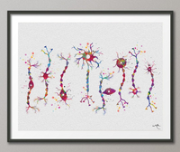 Neuron Types Art Watercolor Print Science Poster Neurology Medical Art Brain Graduation Neuroscience Neurologist Office Clinic Decor-380 - CocoMilla