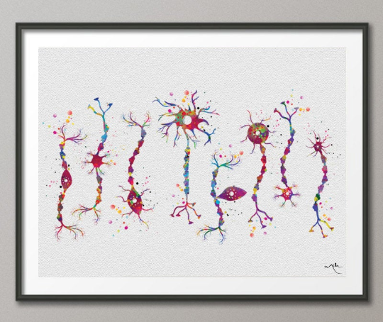 Neuron Types Art Watercolor Print Science Poster Neurology Medical Art Brain Graduation Neuroscience Neurologist Office Clinic Decor-380 - CocoMilla