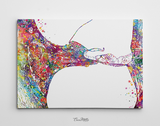 Inner ear Histology Watercolor Print Audiologist Gift Audiology Poster Ear Diagram Anatomical Office Decor Medical Art Histology Art-1150 - CocoMilla