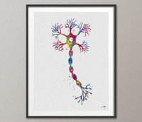 Motor Neuron Watercolor Print Science Art Poster Neurology Medical Art Brain Graduation Neuroscience Art Neurologist Clinic Decor Gift-1059 - CocoMilla