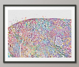 Ovary Histology Watercolor Print Gynecology Anatomy Medical Gynecologist OBGYN Female Reproductive System Medical Art Office Decor-450 - CocoMilla