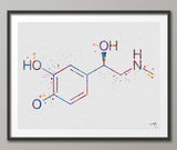 Adrenaline Molecule Watercolor Print Chemical Epinephrine Molecule Nerd Art Science Biology Medical Art Chemistry Science Art Decor-350 - CocoMilla