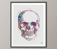 Skull Anatomy Watercolor Print Medical Art Science Art Graduation Gift Anatomy Neurology Human Skull Nurse Science Poster Skeleton Print-973 - CocoMilla