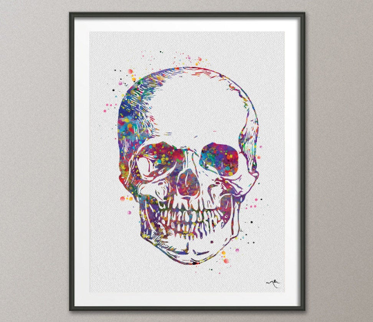 Skull Anatomy Watercolor Print Medical Art Science Art Graduation Gift Anatomy Neurology Human Skull Nurse Science Poster Skeleton Print-973 - CocoMilla