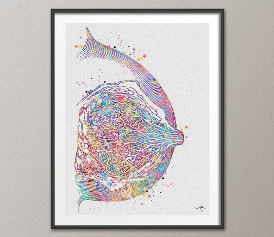 Breast Anatomy Watercolor Print Mammary Gland Medical Art Breast Cancer Medical Office Decor Female Reproductive System Art Doctor Gift-376 - CocoMilla