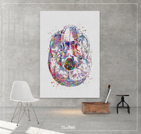 Bottom view Skull Anatomy Watercolor Print Medical Art Science Art Anatomy with Neurology Human Skull Dental Tooth Art Skeleton Gift-1365 - CocoMilla
