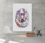 Bottom view Skull Anatomy Watercolor Print Medical Art Science Art Anatomy with Neurology Human Skull Dental Tooth Art Skeleton Gift-1365 - CocoMilla