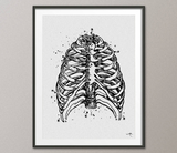 Rib cage Watercolor Print Human Skeleton Anatomy Medical Art Science Art Anatomy Human Skull Nurse Science Art Medicine Skeleton Print-978 - CocoMilla