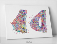 Breast Implant Watercolor Print Breast Augmentation Medical Art Clinic Office Surgery Gift Plastic Surgery Wall Art Decor Wall Hanging-522 - CocoMilla