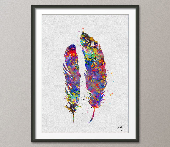 Bird Feathers available as Framed Prints, Photos, Wall Art and Photo Gifts