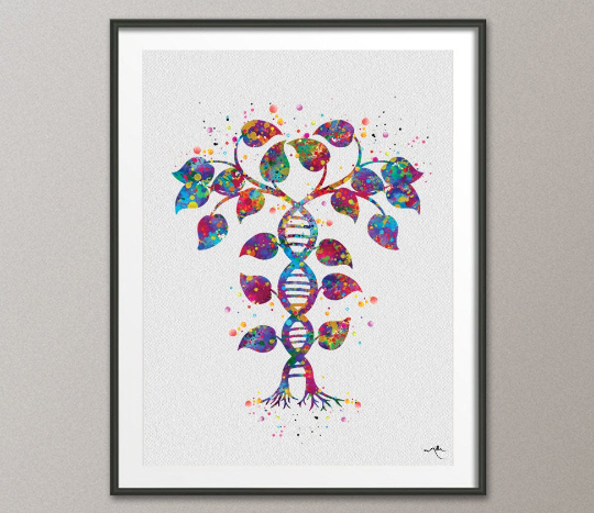 DNA Tree, Double Helix, Watercolor Print, Medical Symbol, Wall Art, Medical Art, Science Art, Graduation Gift, Biology Office Decor, DNA-942 - CocoMilla