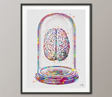 Brain Anatomy in Glass Dome Watercolor Print Medical Art Science Art Anatomy Art Neurology Human Brain Doctor Gift Collectible Gift-156 - CocoMilla